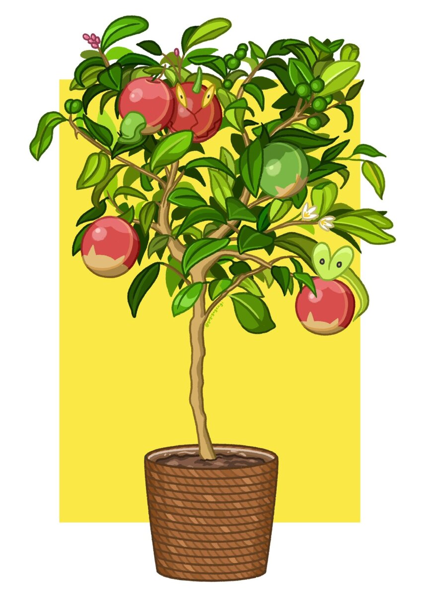 Sample image
