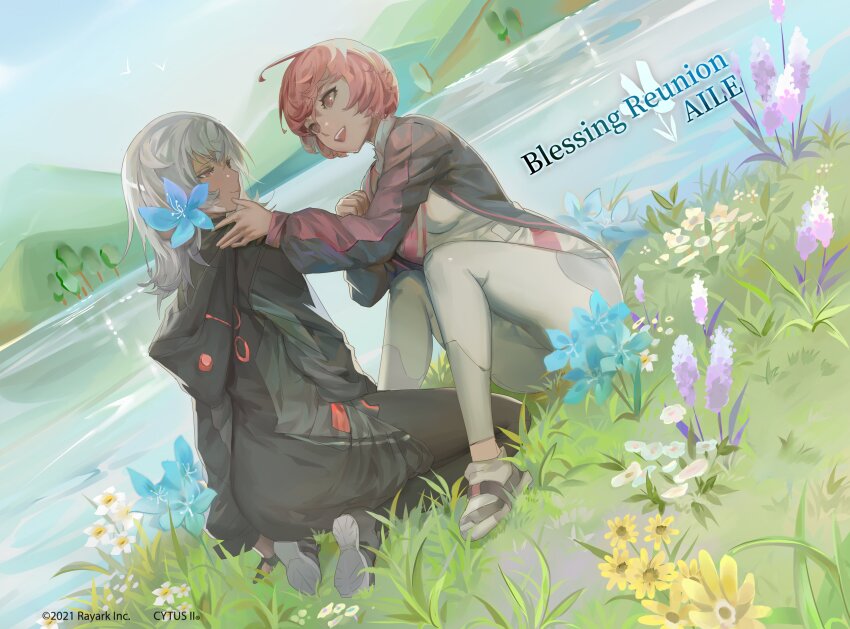 Sample image
