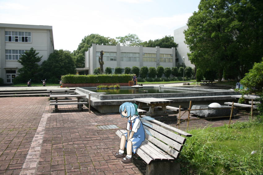 Sample image