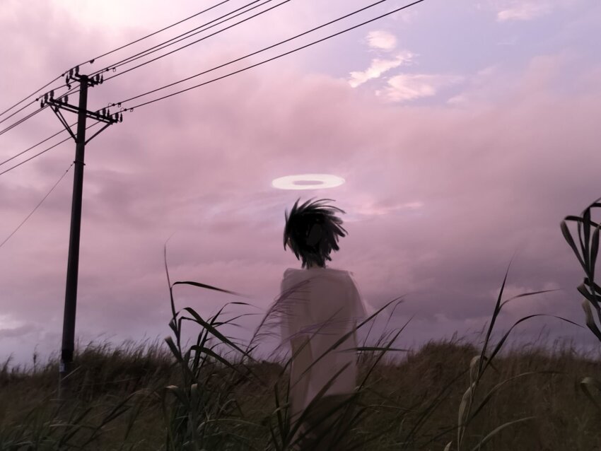Sample image