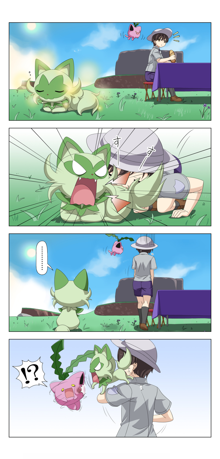 Sample image