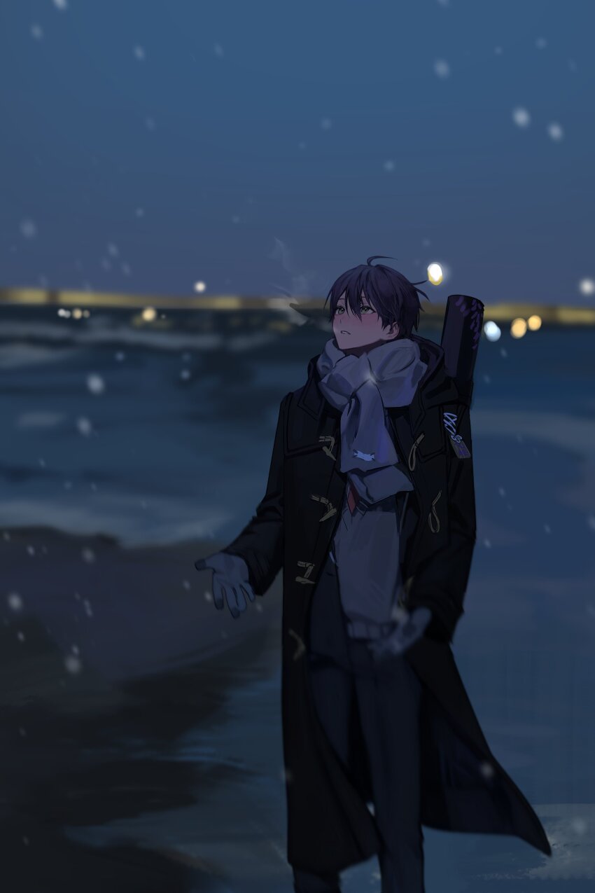 Sample image