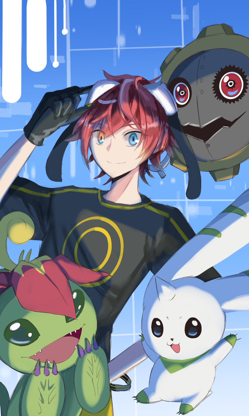 Sample image