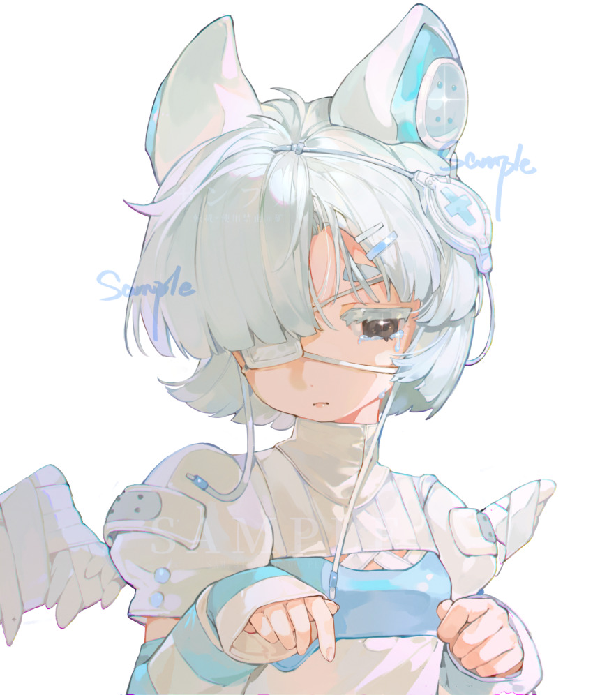 Sample image
