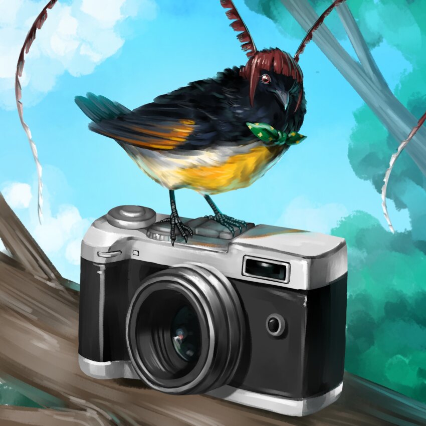Sample image