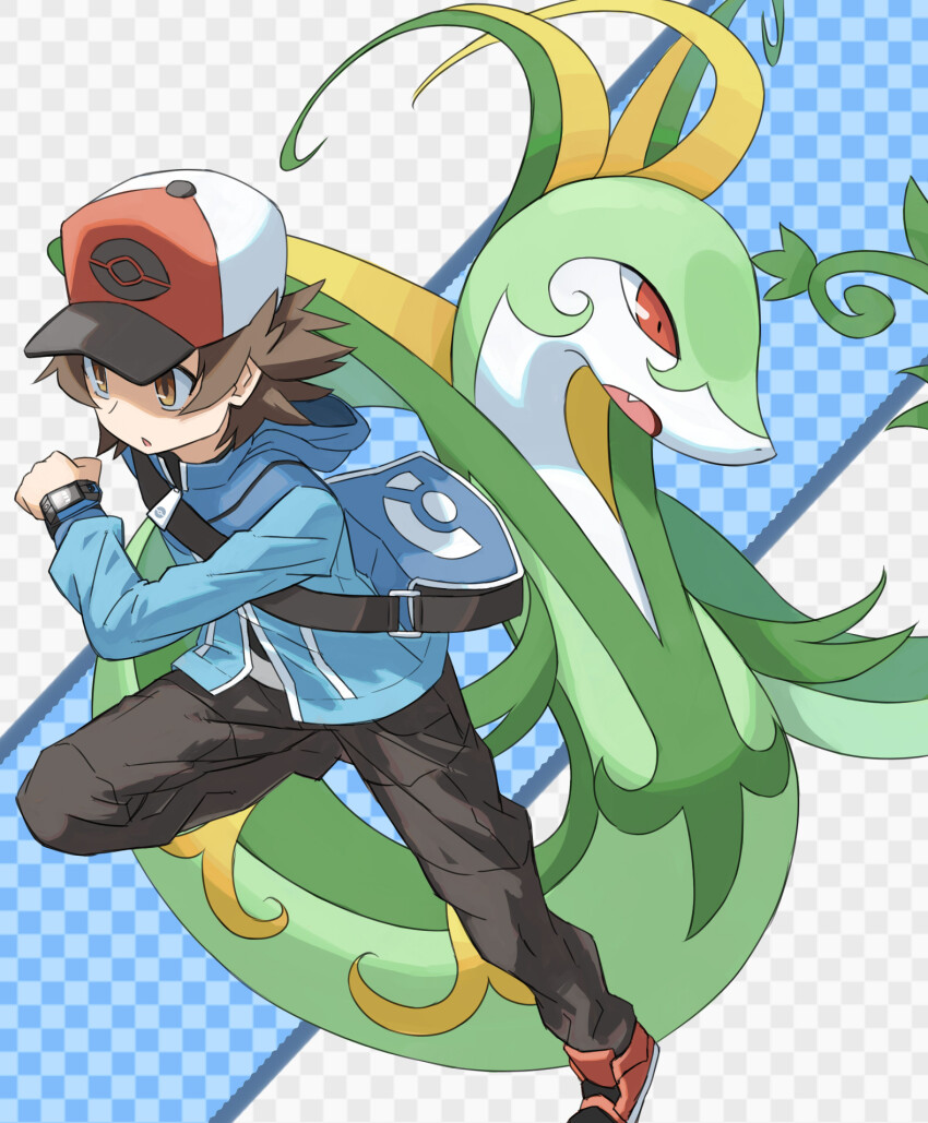 Sample image