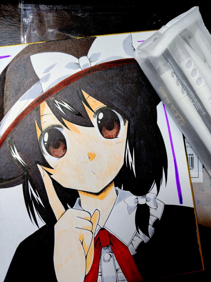 Sample image