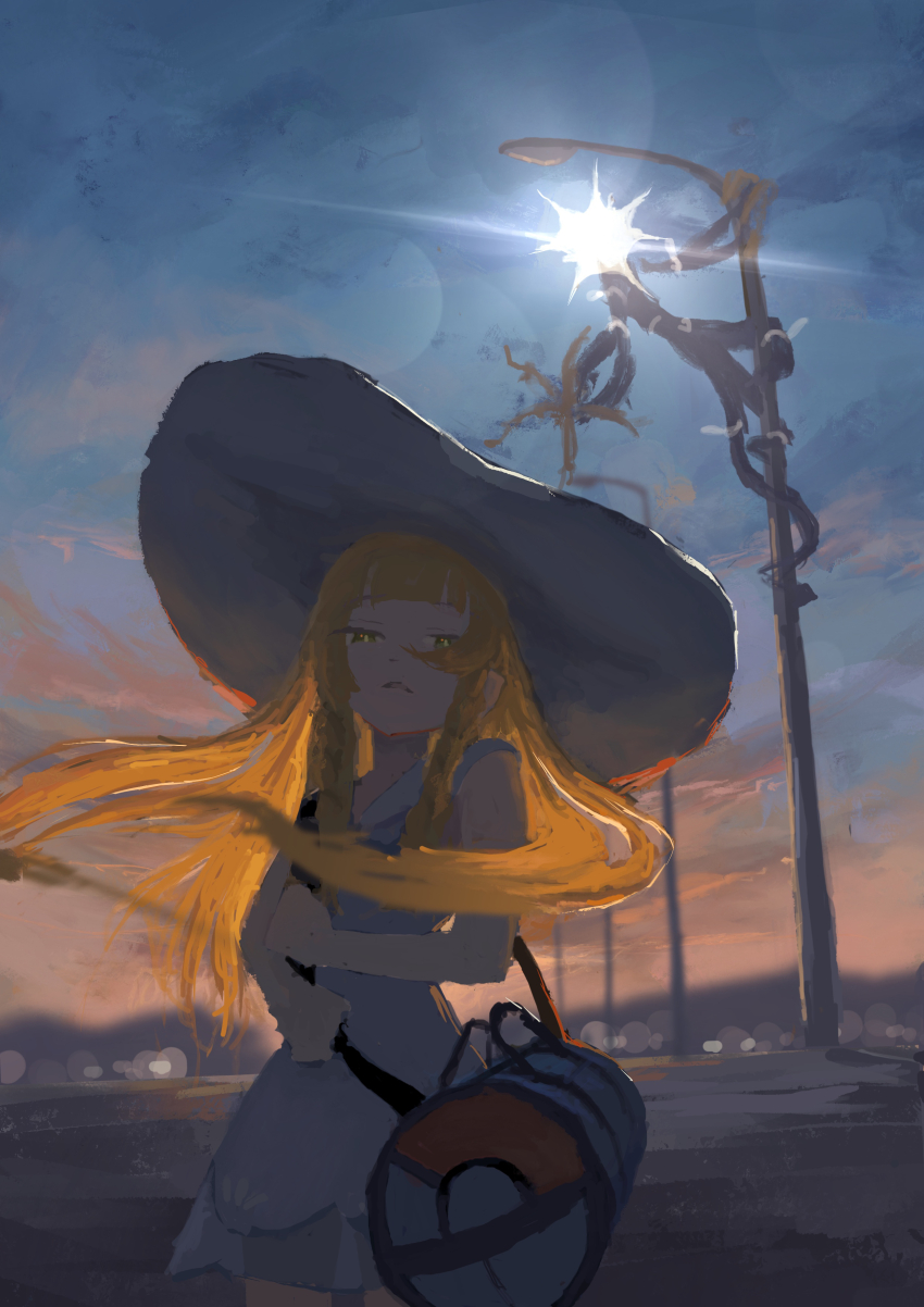 Sample image