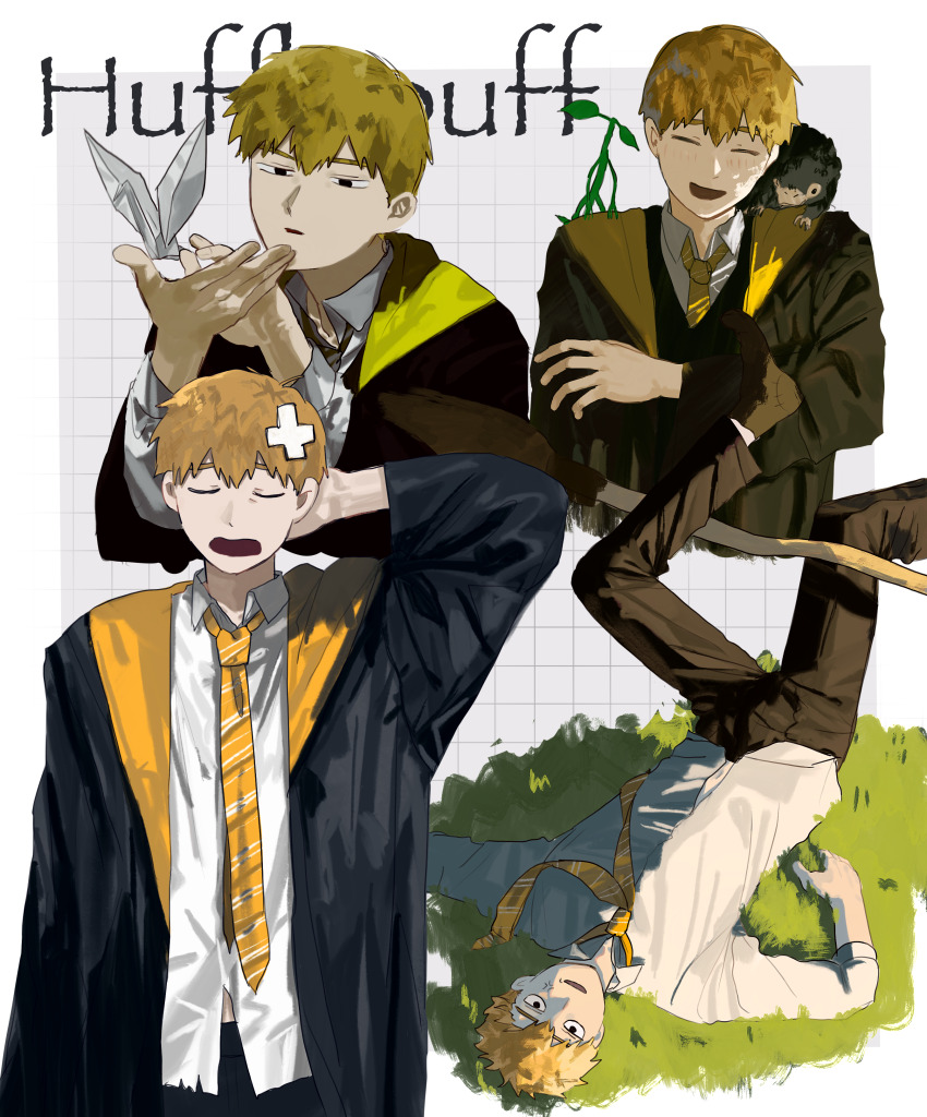 Sample image