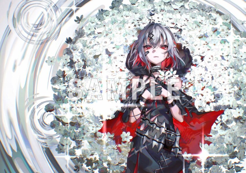 Sample image