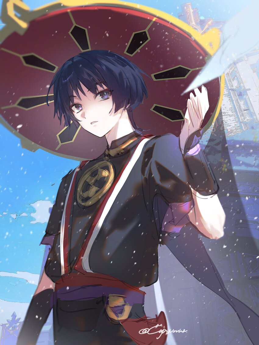Sample image