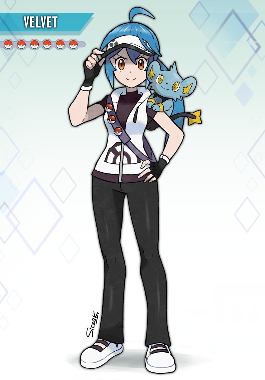 Sample image