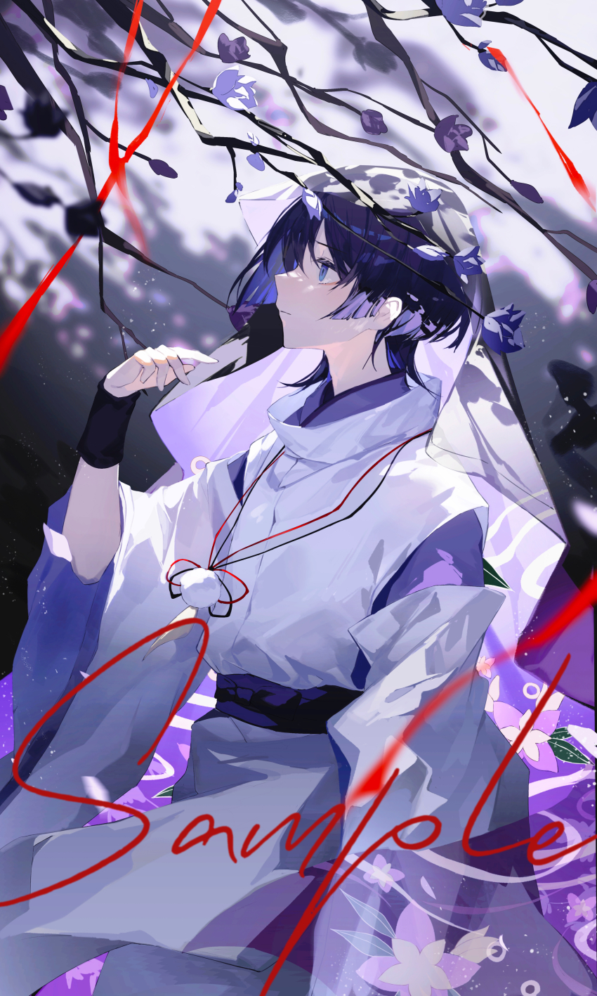 Sample image