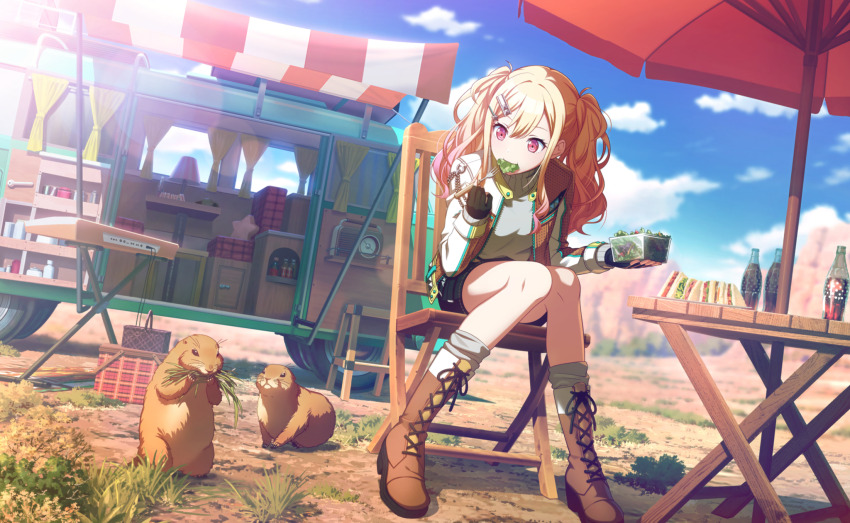 Sample image