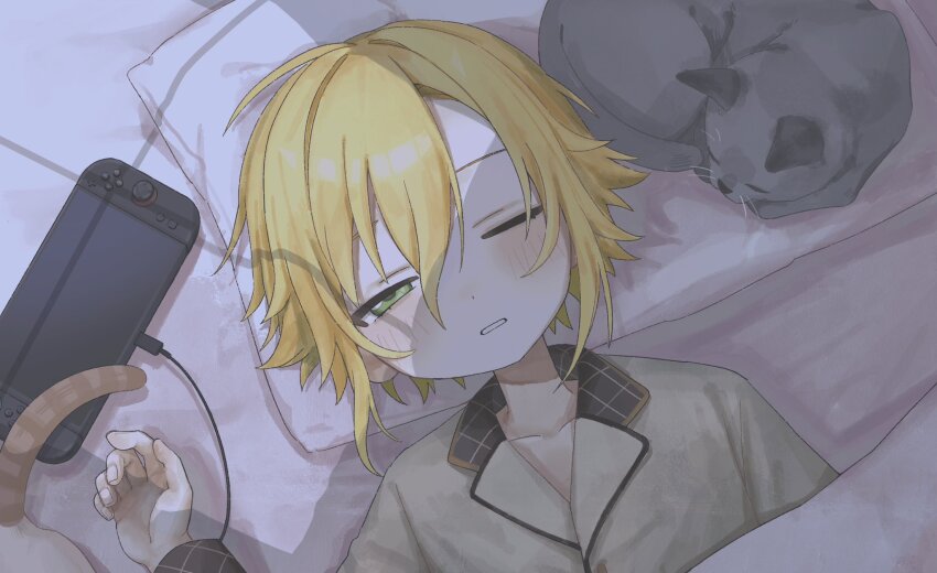 Sample image