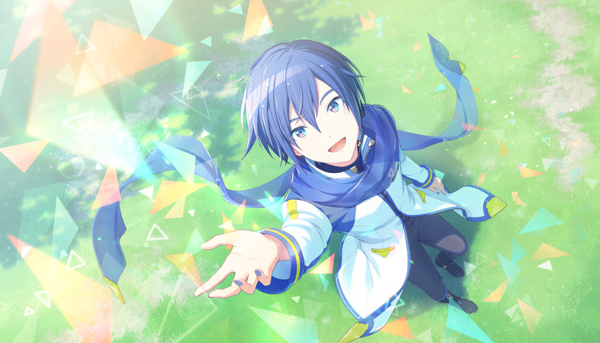 Sample image